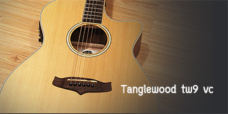 Tanglewood tw9 vc
