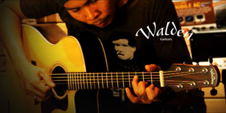 Walden Guitar G800CE