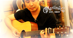 Martin Guitar DRS2